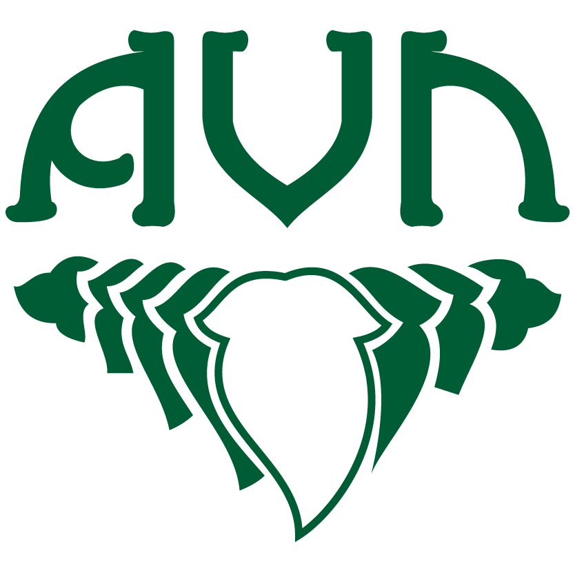 AVN